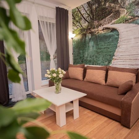 Apartamenty Goszowita Stronie Śląskie Εξωτερικό φωτογραφία