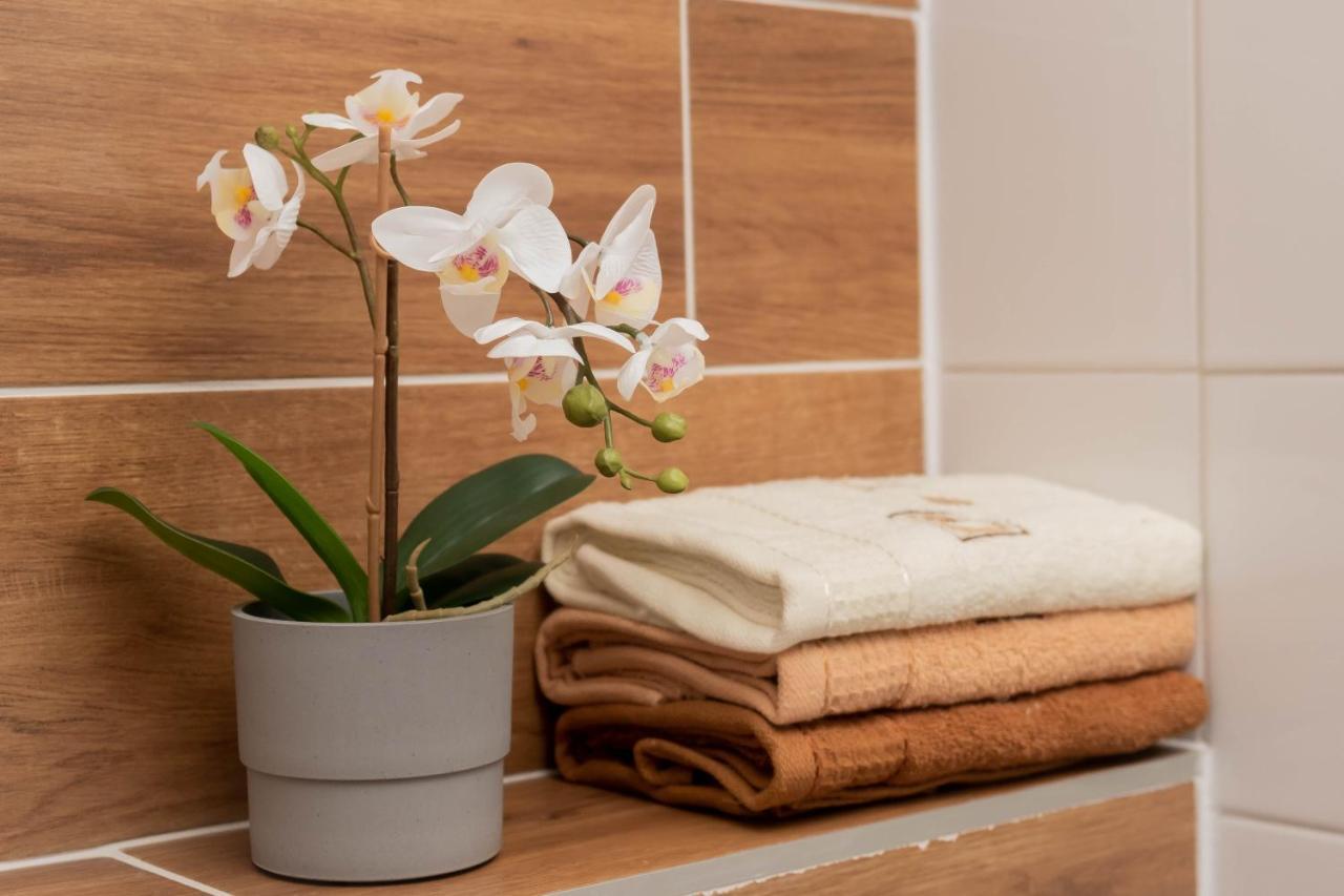 Apartamenty Goszowita Stronie Śląskie Εξωτερικό φωτογραφία