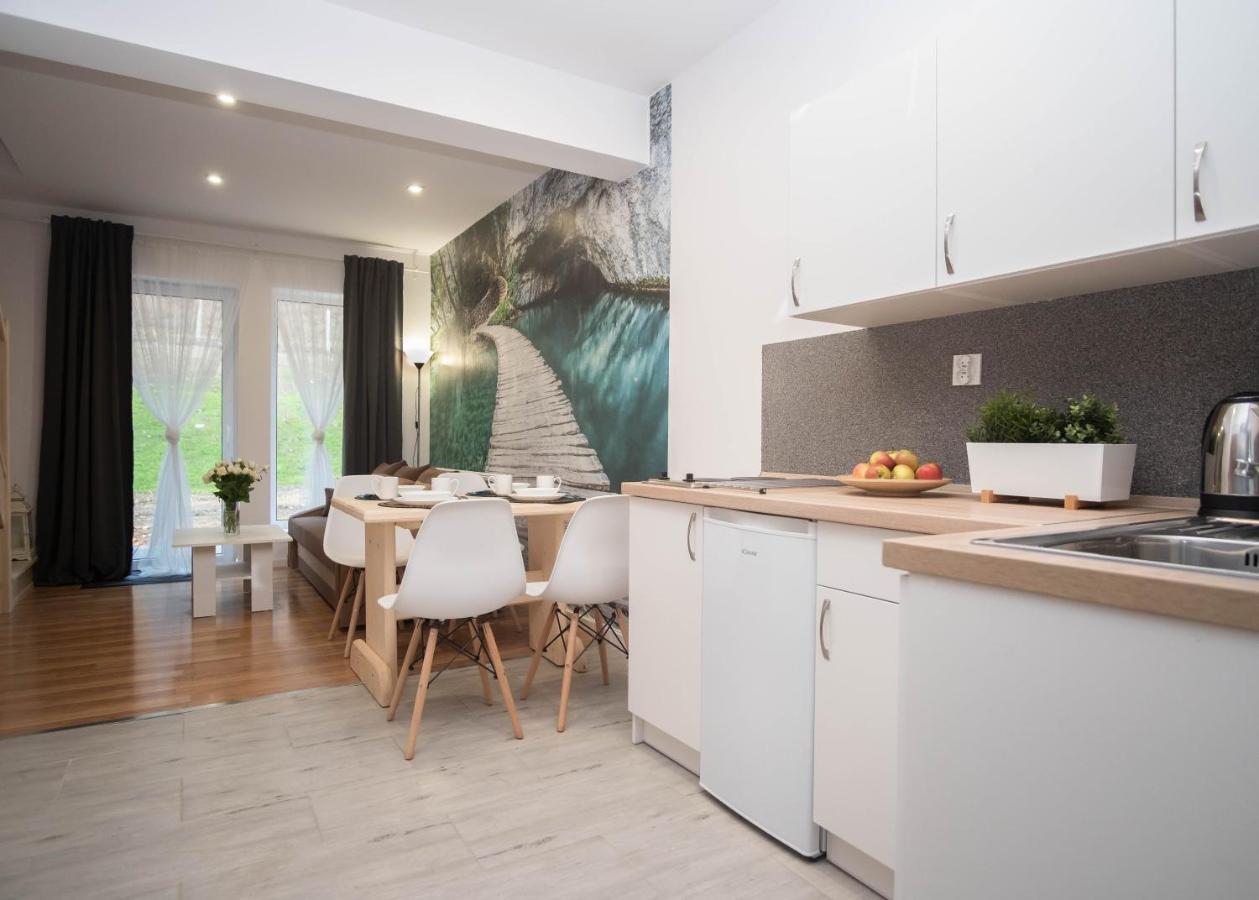 Apartamenty Goszowita Stronie Śląskie Εξωτερικό φωτογραφία
